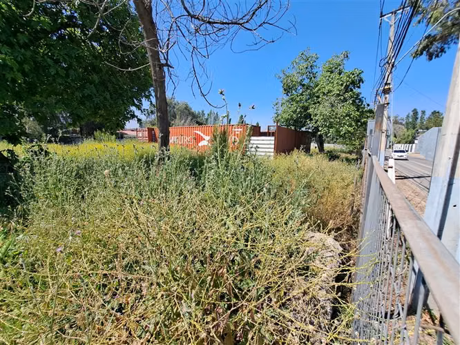 Agrícola en Arriendo en Colina