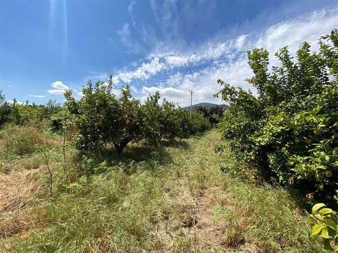 Sitio en venta en Curacaví - Imagen 2