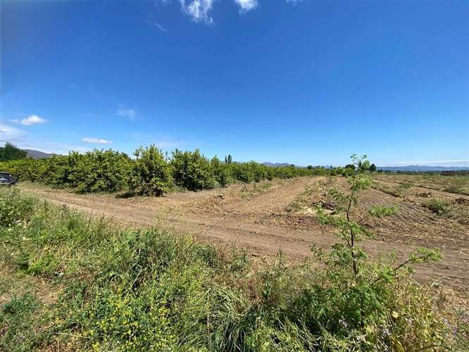 Sitio en venta en Curacaví - Imagen 4