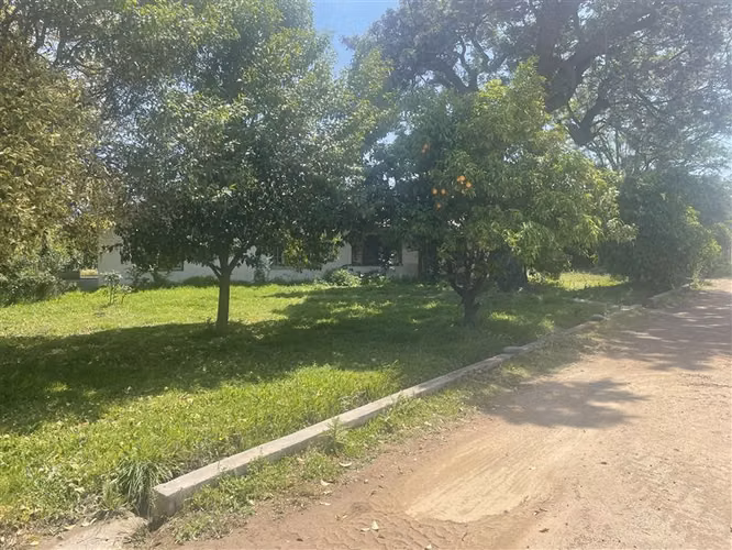 AGRÍCOLA / DIFERENTES CULTIVOS / IDEAL CENTRO EVENTOS