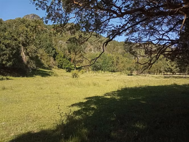 Sitio en venta en Futrono