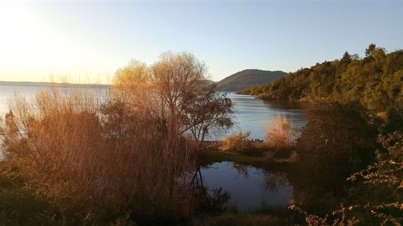 Sitio en venta en Futrono