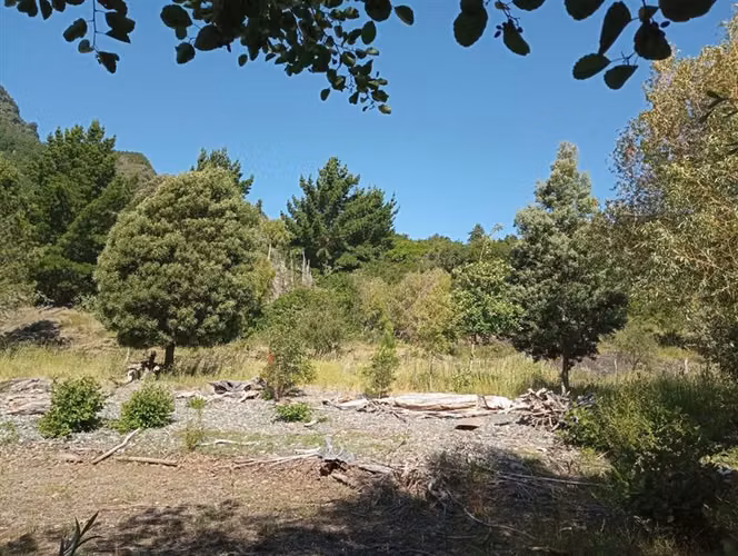Sitio en venta en Futrono
