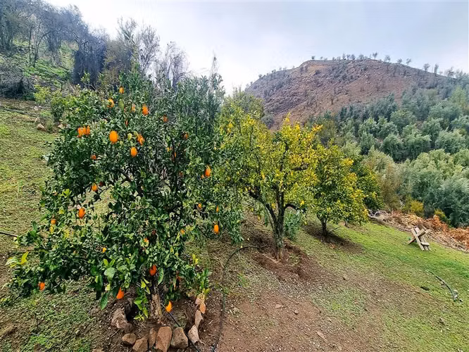 Parcela en venta en Hacienda Chacabuco, Colina