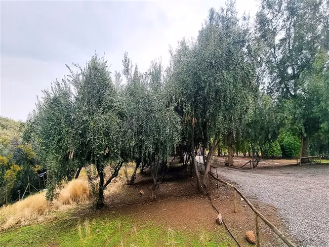 Parcela en venta en Hacienda Chacabuco, Colina
