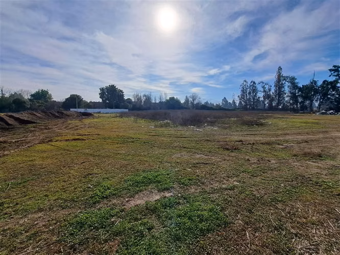 Sitio de 15.000m2 en arriendo en Colina Av Chicureo
