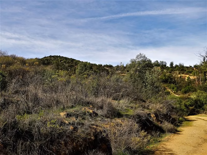 Parcela 32.000m2 en venta en Cuesta La Dormida - Olmué.