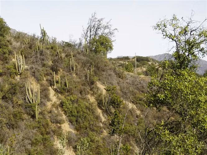 Parcela 32.000m2 en venta en Cuesta La Dormida - Olmué.