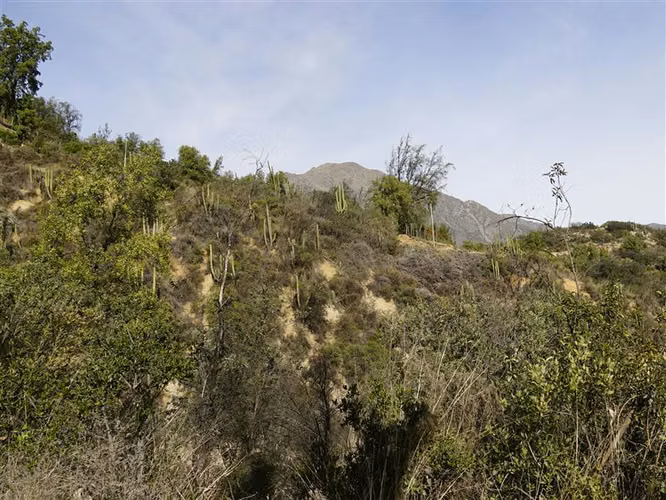 Parcela 32.000m2 en venta en Cuesta La Dormida - Olmué.