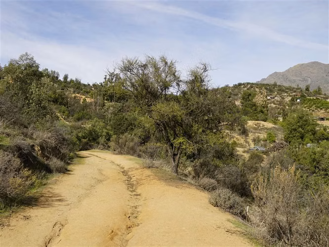 Parcela 32.000m2 en venta en Cuesta La Dormida - Olmué.