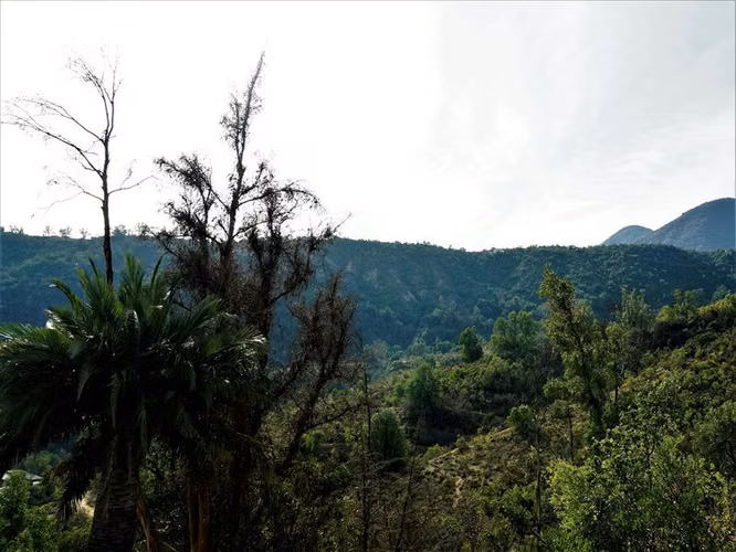 Agrícola con casa 3D, 1B, 8 est. y piscina en venta en Olmué