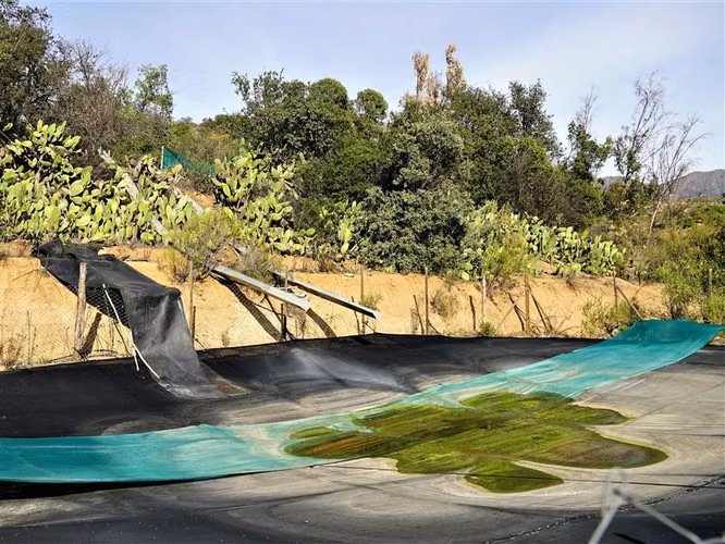 Agrícola con casa 3D, 1B, 8 est. y piscina en venta en Olmué