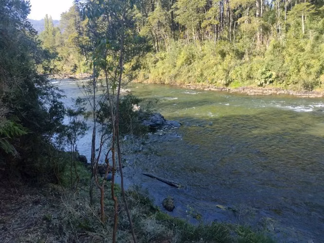 Venta Terreno Lago Ranco