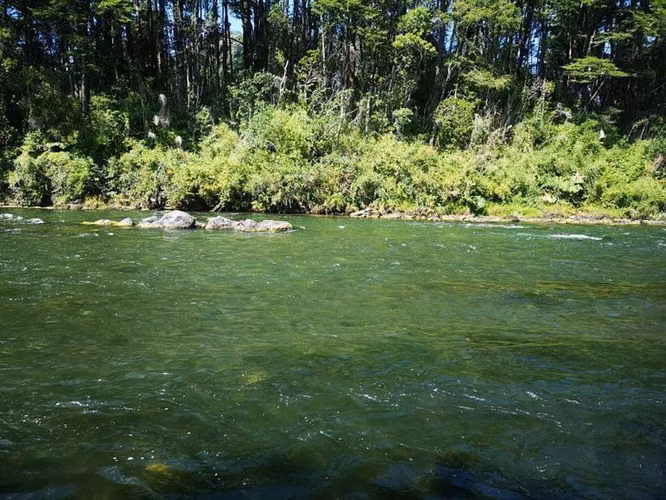 Venta Terreno Lago Ranco