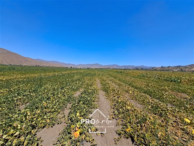 Gran Hacienda Curacavi 108 Hectáreas parcelables con agua