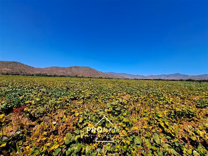 Gran Hacienda Curacavi 108 Hectáreas parcelables con agua