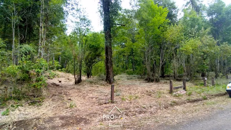 Parcela en venta en Pucón - Imagen 16