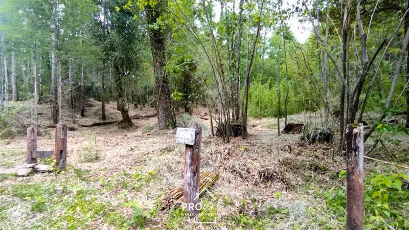 Parcela en venta en Pucón - Imagen 13