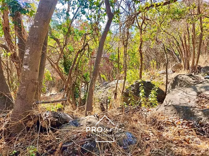 Sitio en venta en Olmué