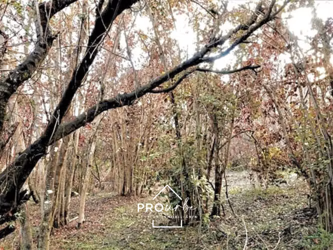 Venta parcela 5000m2 en Altos de Olmué urbanizada