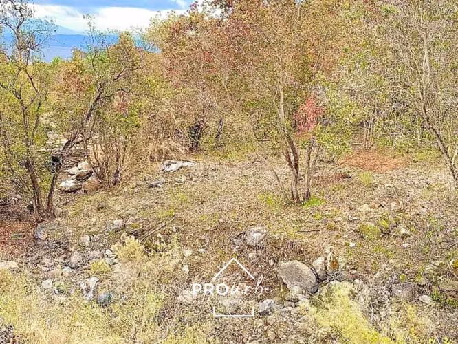 Venta parcela 5000m2 en Altos de Olmué urbanizada