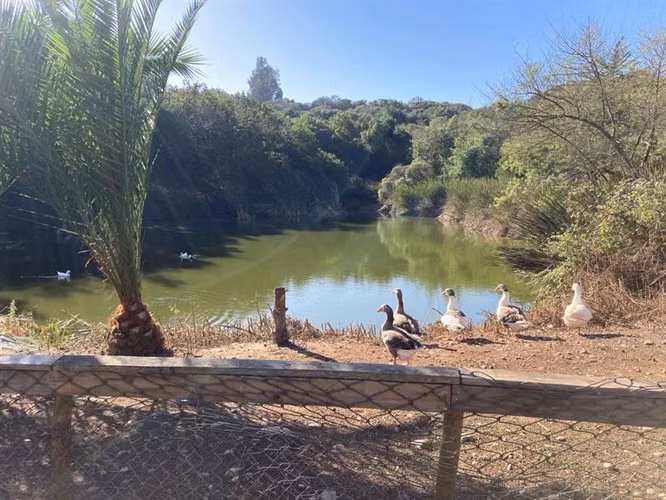 Parcela en venta en Quintero