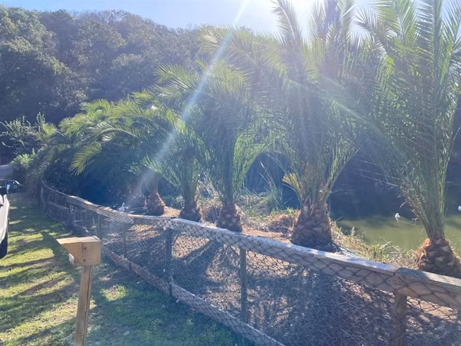 Parcela en venta en Quintero - Imagen 11
