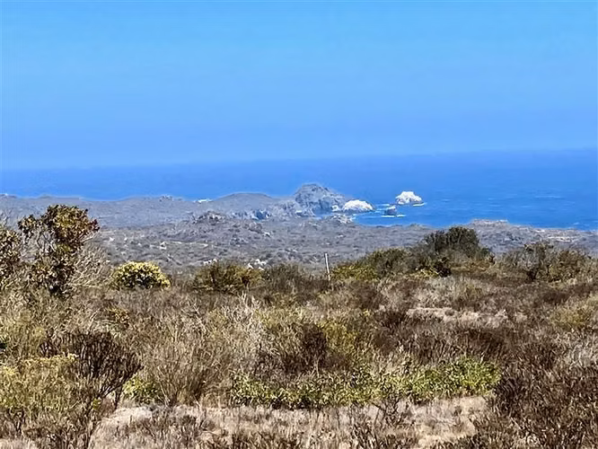 Parcela en Venta en La Ligua - Imagen 2
