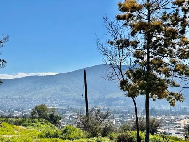 Terreno Construccion  en Venta en Limache