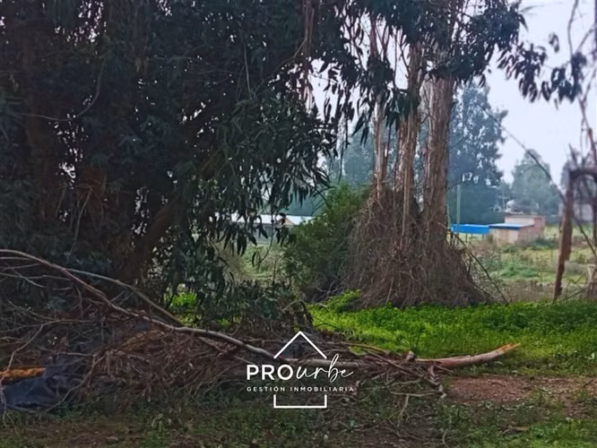 Parcela en venta en Melipilla, Colonia Agricola de Puangue