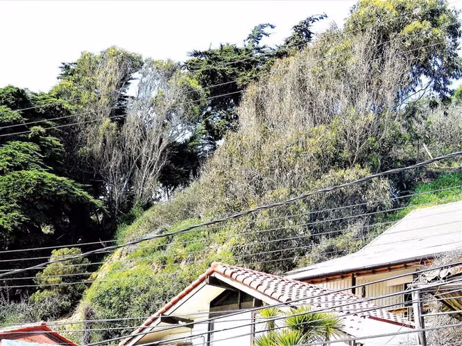 Sitio en Venta en Concón