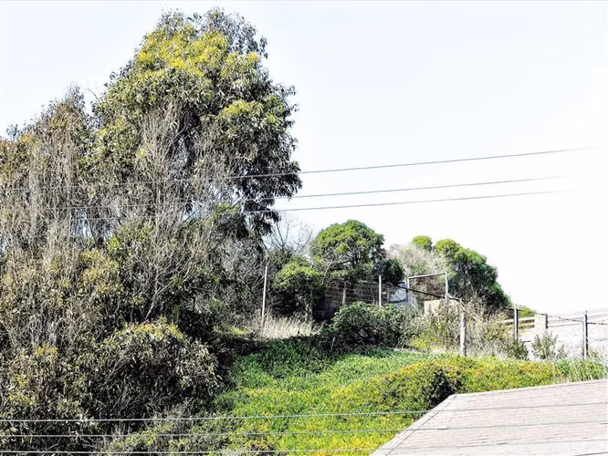 Sitio en Venta en Concón