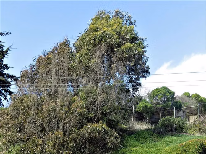 Terreno Construccion  en Venta en Concón