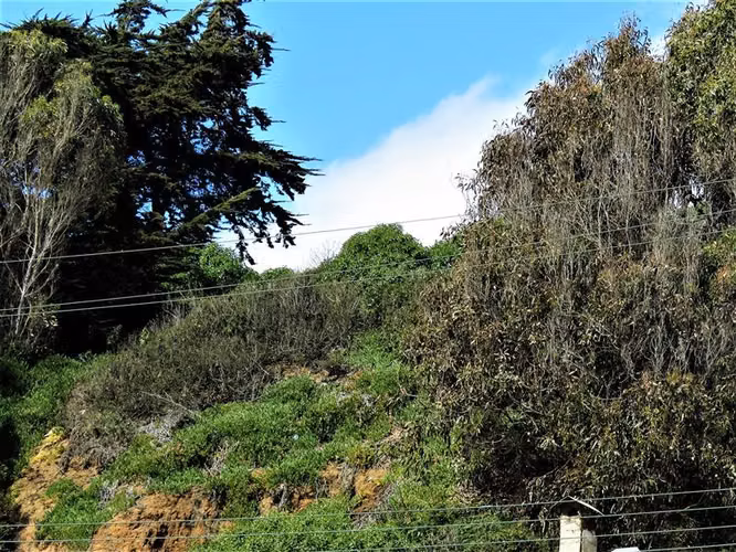 Terreno Construccion  en Venta en Concón