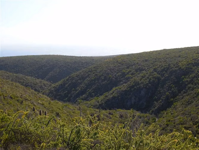 Parcela en venta en Ovalle