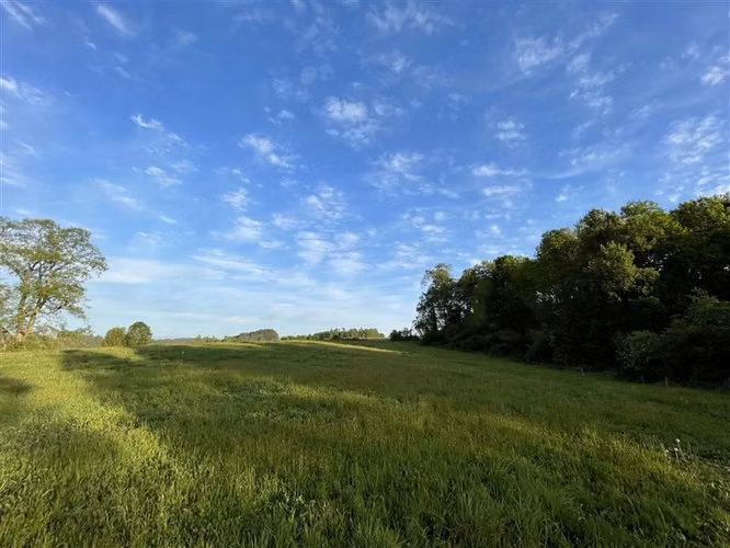 Agrícola en Venta en Paillaco