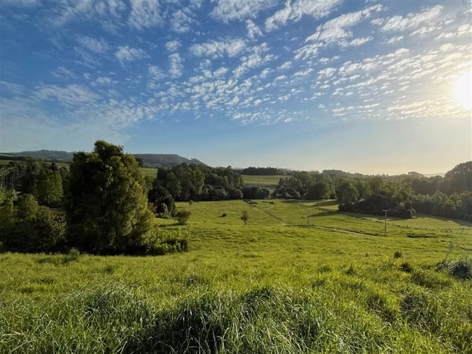 Agrícola en Venta en Paillaco