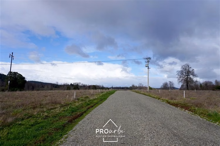 Sitio 5.000 m2 en Venta en Paillaco