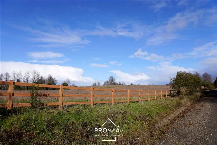 Sitio 5.000 m2 en Venta en Paillaco