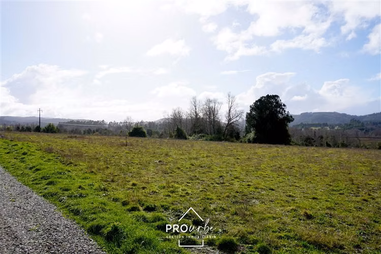 Sitio 5.000 m2 en Venta en Paillaco