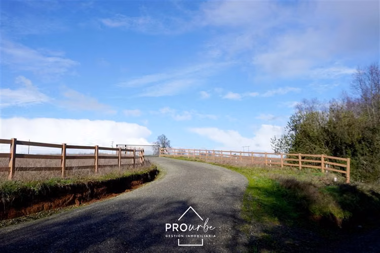 Sitio 5.000 m2 en Venta en Paillaco
