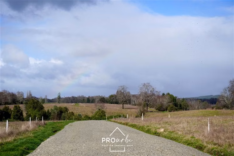 Terreno 5.000 m2 en Venta en Paillaco