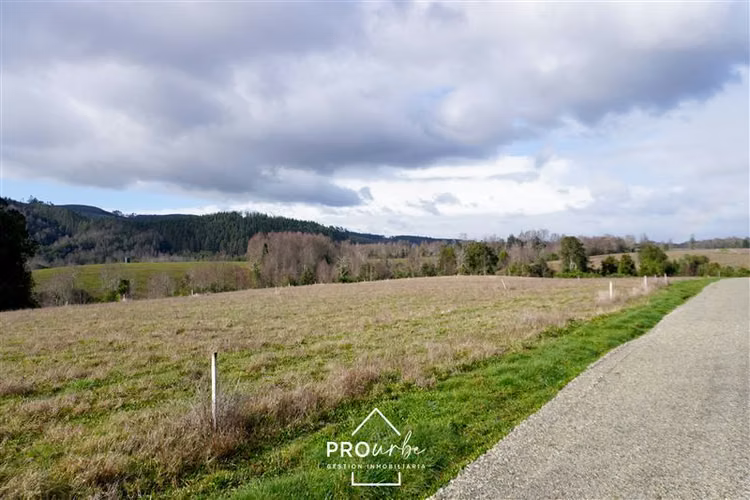 Terreno 5.000 m2 en Venta en Paillaco