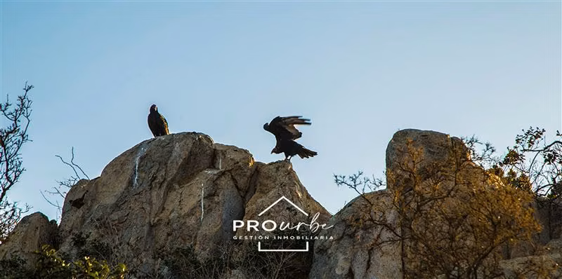 Sitio en venta en Rocas del Mar, Los Molles, La Ligua