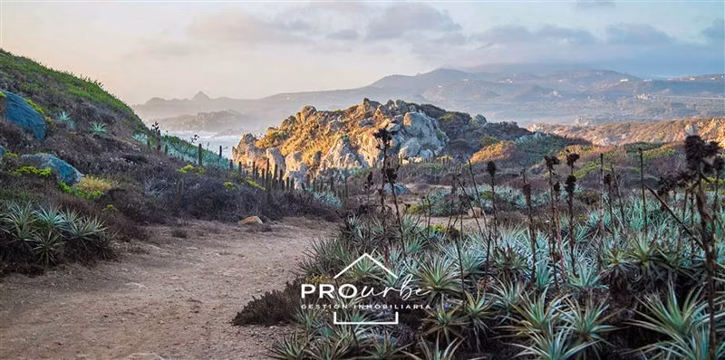Parcela en venta en Rocas del Mar, Los Molles, La Ligua