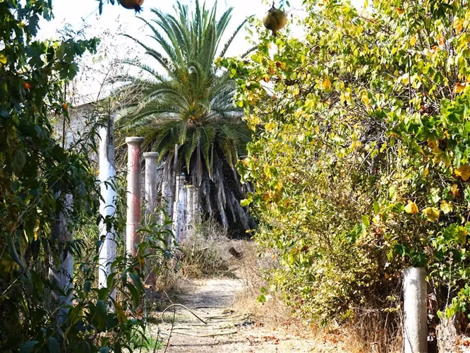 Terreno Construccion  en Venta en Quillota