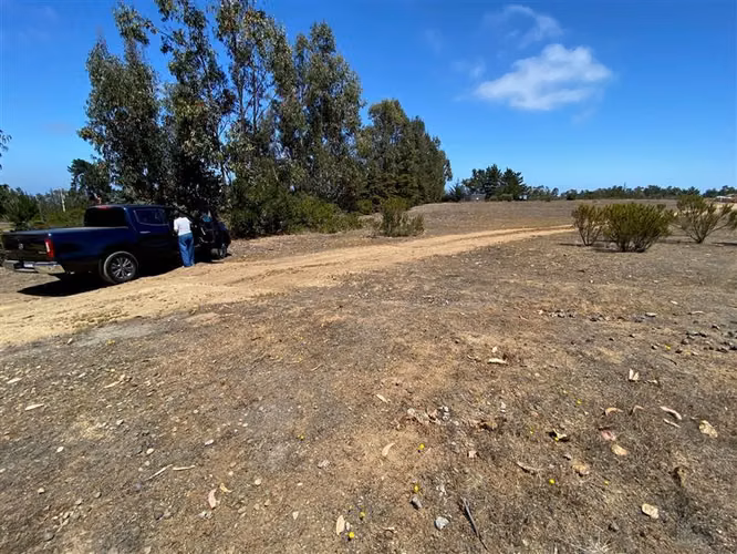 Sitio en venta en Algarrobo - Imagen 9