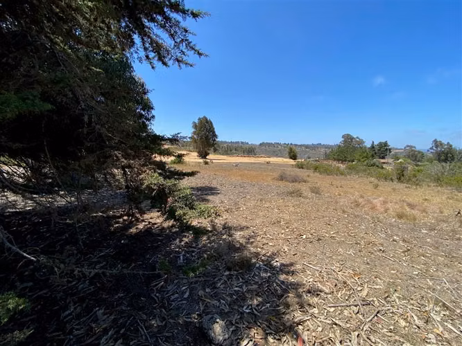 Sitio en venta en Algarrobo - Imagen 5