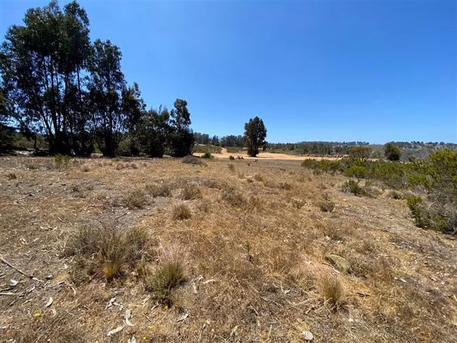 Sitio en venta en Algarrobo - Imagen 6