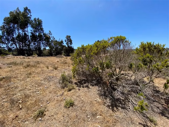 Sitio en venta en Algarrobo - Imagen 7